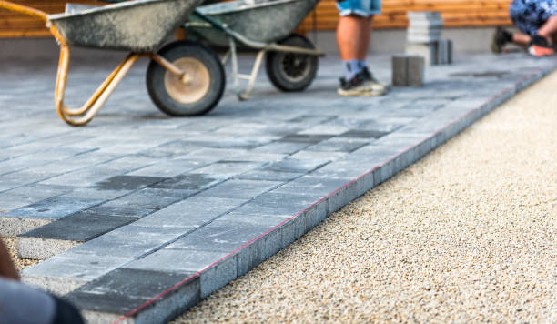 Best Driveway Paving Contractor  in River Ridge, FL