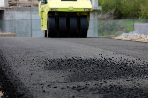 Best Affordable Driveway Pavers  in River Ridge, FL